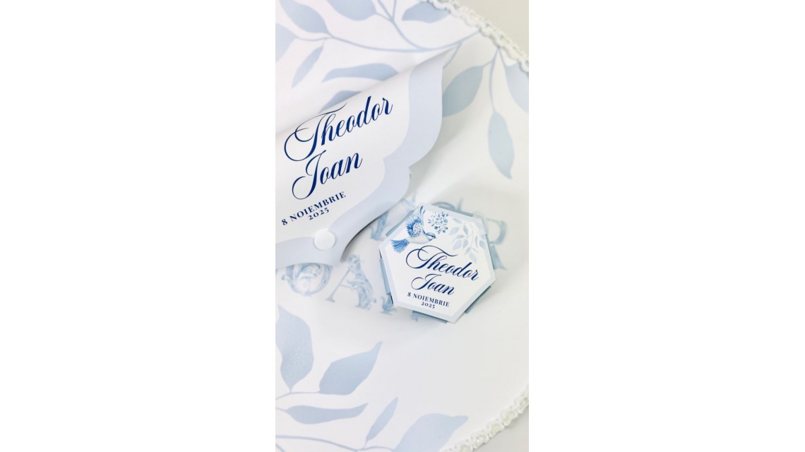 Trusou botez baietel Hot Air Balloon Blue Toile cu baloane de aer cald design elegant 1